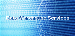 Data Warehouse Services