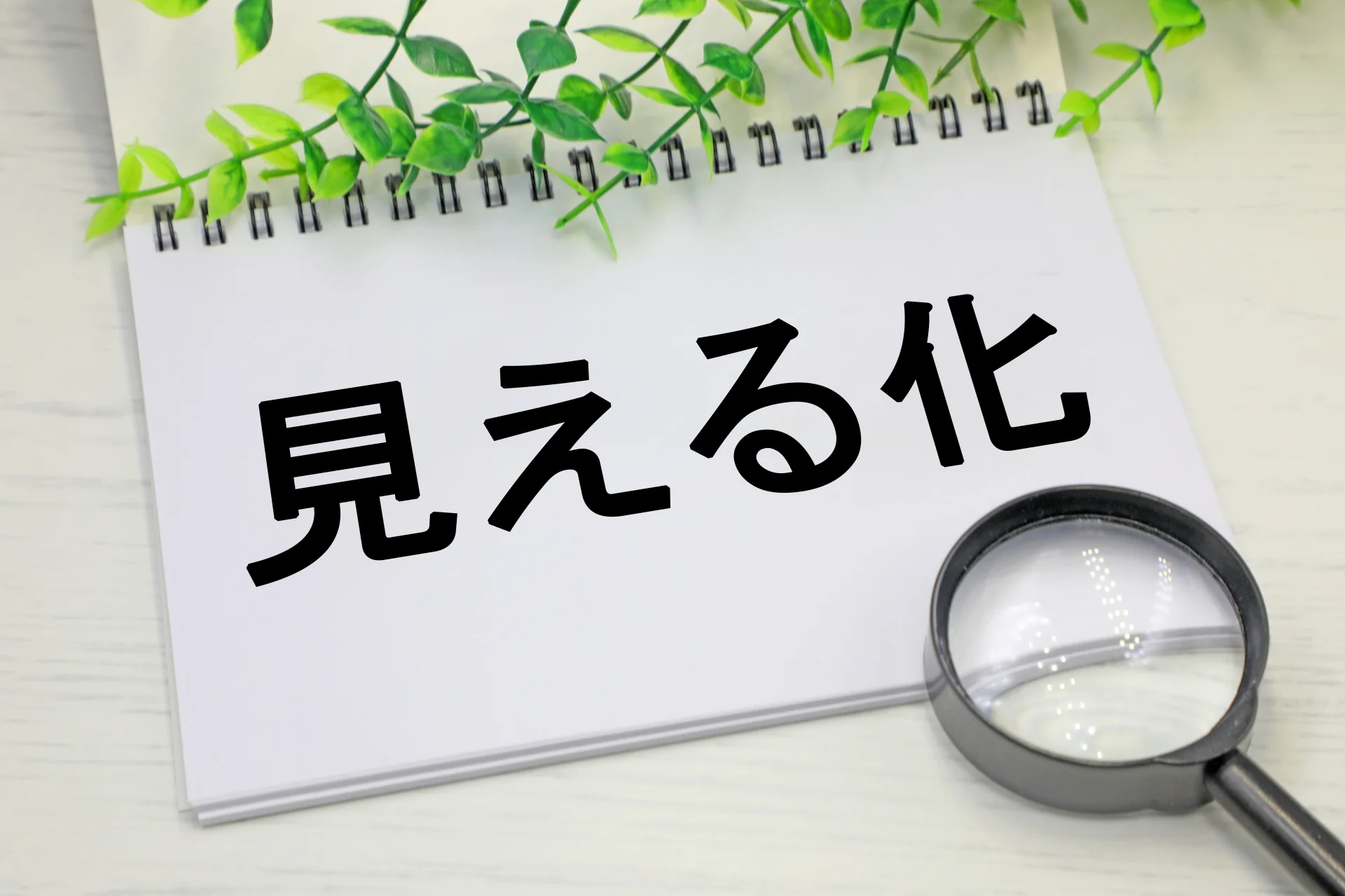 【専門家が推奨するIT資産の可視化プロセス】をイメージできる画像。