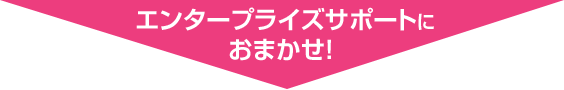 エンタープライズサポートにおまかせ!