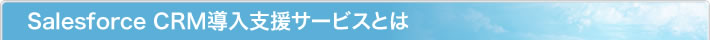 Salesforce CRM導入支援サービスとは