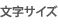 文字サイズ
