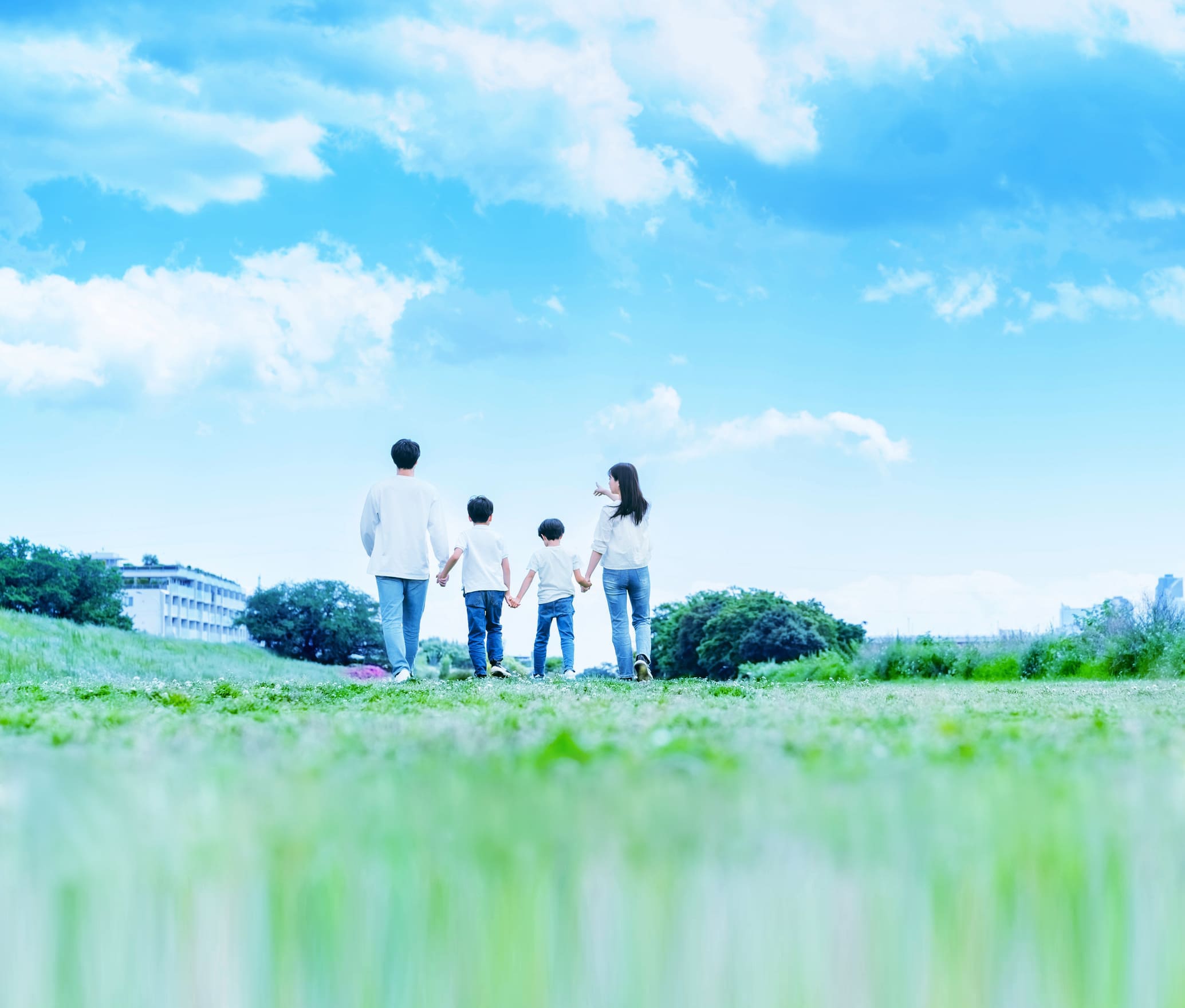 Sustainability image