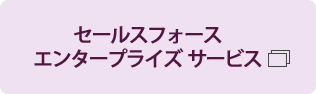 セールスフォース エンタープライズ サービス