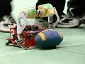DSC000700_thumb.png