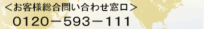 ＜お客様総合問い合わせ窓口＞電話：0120-593-111