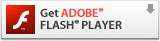 flash_icon