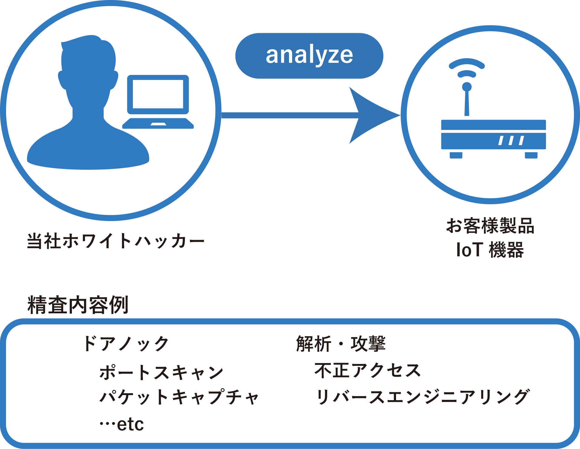 ホワイトハッカーによる検査