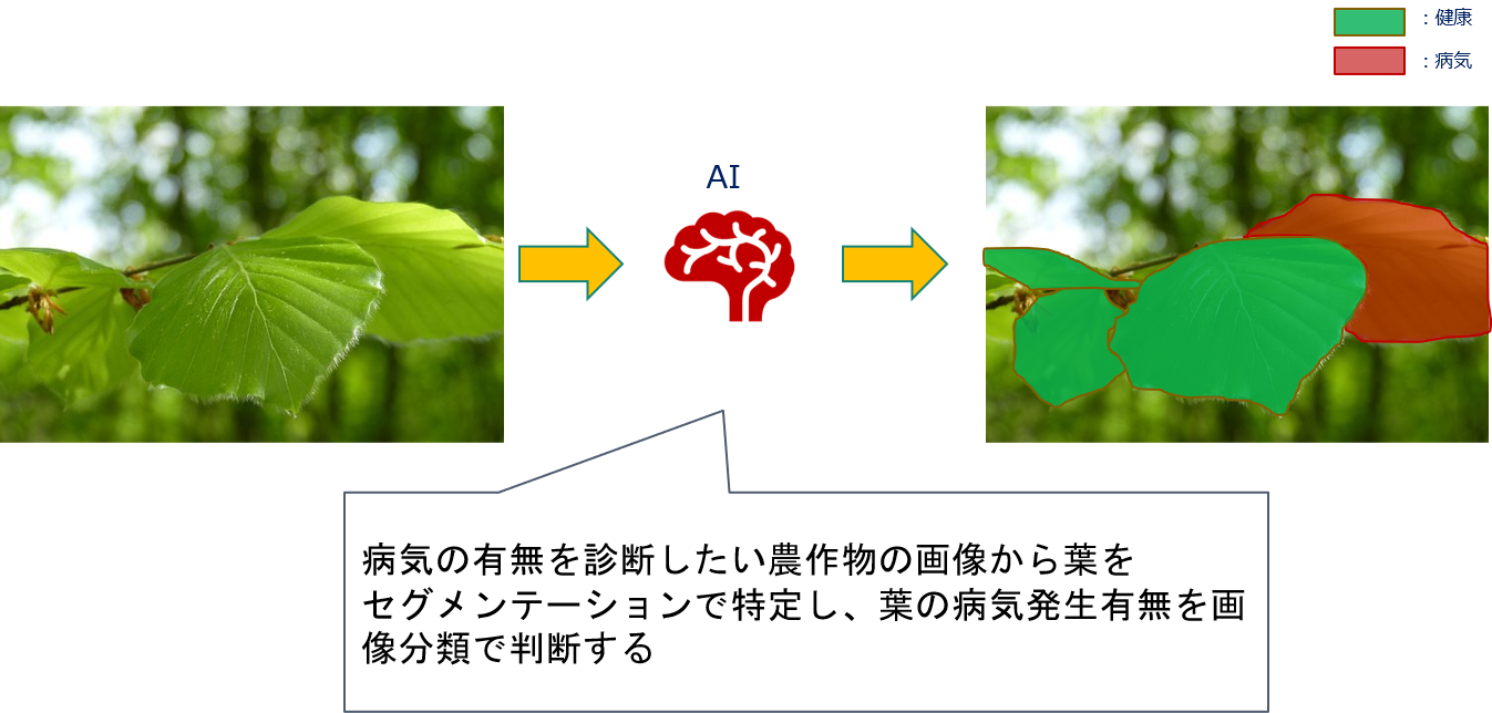 農作物の病気判断