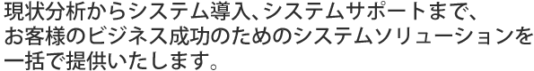 現状分析からシステム導入、システムサポートまで、お客様のビジネスを成功へと導くシステムソリューションを一括で提供いたします。