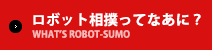 ロボット相撲ってなあに？