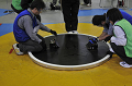 _DSC5147_thumb.png