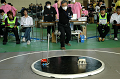 DSC_2315_thumb.png