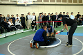 DSC_2325_thumb.png