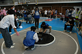 DSC_0523_thumb.png
