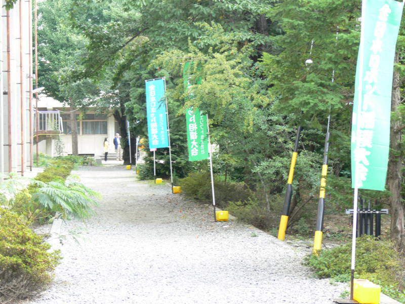 P1020753.jpg