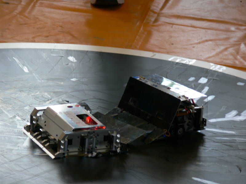 P1020823.jpg