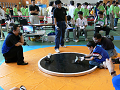P1020841_thumb.png