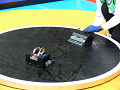 P1030419_thumb.png