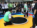 P1030420_thumb.png