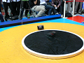 P1030421_thumb.png