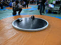 P1030128_thumb.png