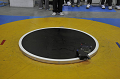 _DSC5162_thumb.png