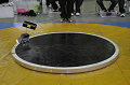 _DSC5189_thumb.png