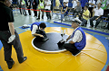 _DSC4561_thumb.png