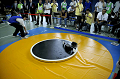 _DSC4563_thumb.png