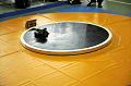 _DSC4598_thumb.png