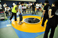 _DSC4603_thumb.png