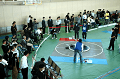 DSC_2289_thumb.png