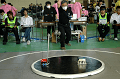 DSC_2315_thumb.png