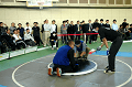 DSC_2325_thumb.png