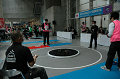 DSC_1615_thumb.png