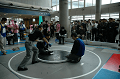 DSC_1653_thumb.png