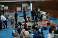 DSC_0221_thumb.png