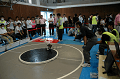 DSC_0491_thumb.png