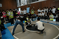 DSC_0500_thumb.png