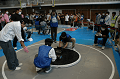 DSC_0523_thumb.png