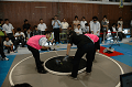 DSC_0535_thumb.png