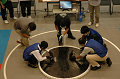 DSC_2888_thumb.png