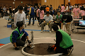 DSC_2937_thumb.png