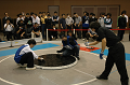 DSC_3022_thumb.png