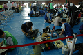 DSC_0833_thumb.png