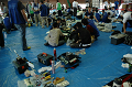 DSC_0845_thumb.png