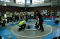 DSC_0935_thumb.png