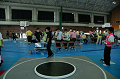 DSC_1093_thumb.png