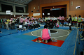 DSC_1097_thumb.png