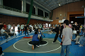 DSC_1185_thumb.png